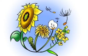 黄色花 - ピロリ菌