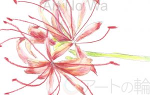 彼岸花 - 就労継続支援A型 オール