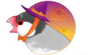 文鳥 - 就労継続支援A型 オール