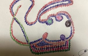 前向いてるターちゃん - 笹谷正博