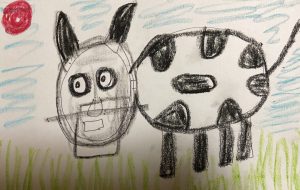 放牧牛カロリン - 笹谷正博