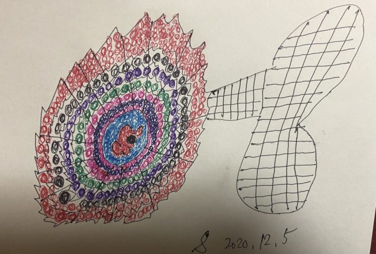 守ってあげたいシリーズ - 笹谷正博 