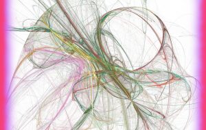 冬のさなかの出会い - 太陽