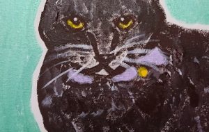 愛猫ミリ - ジル