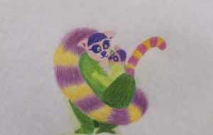 ワオキツネザルのお散歩 その後のお昼寝 - UkoNyan