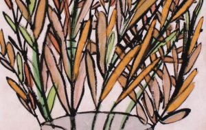 常緑樹 - 松元竣資