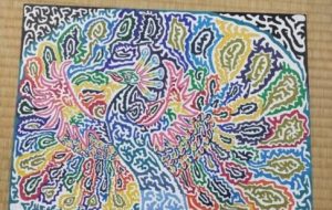 虹色に輝く孔雀 - 西花天翔