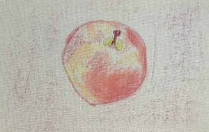 ほのかに赤い林檎 - はるえ