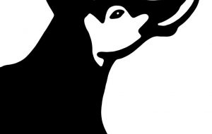 オカピ - シマハイエナ