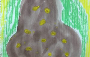 腐った西洋梨 - シンゴ