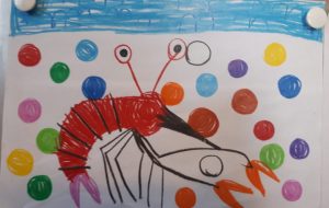 ザリガニ - あおくん