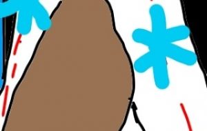 雪の精の平安女性 - トゥー・A・ルルカ