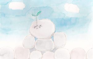 石を割って芽吹く - 空飛ぶクジラ