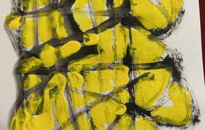 虎の透けてるー - 笹谷正博