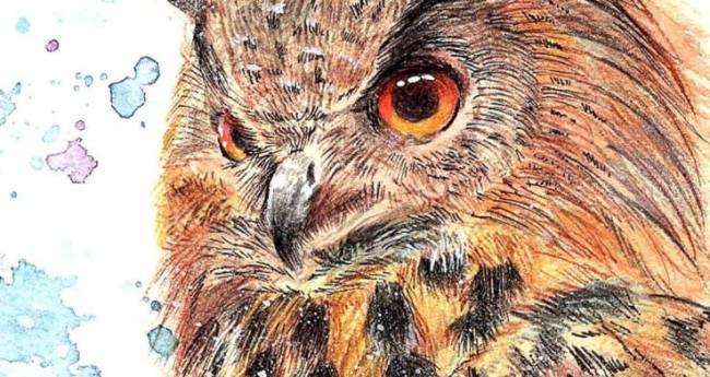 フクロウ アートの輪 フクロウ アートの輪