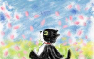 猫と桜 - かいこ