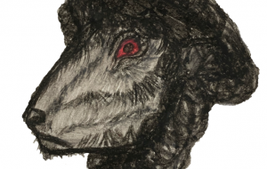 BLACK SHEEP - 朝斗