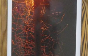 5.柿沼良多「小さな命の躍動」 - 【イベント】第５回鶴ヶ島市立中央図書館 「障がい者アート絵画展」2020 