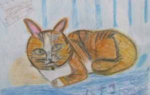 20.平山紀子「三毛猫の「ハナコ」 - 【イベント】第5回鶴ヶ島市立中央図書館 「障がい者アート絵画展」2020