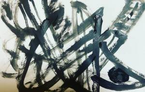 飛べない鳥 - 笹谷正博