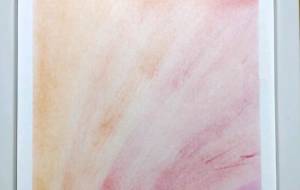 熱意 - スターシード和