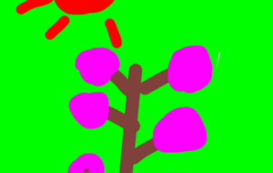 梅咲く季節 - 笹谷正博