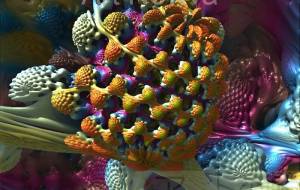 接写植物模様1 - 太陽