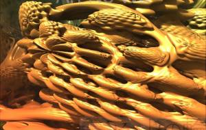 ネーブルオレンジ - 太陽