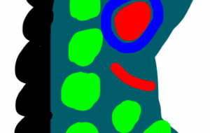 ルール違反 - 笹谷正博