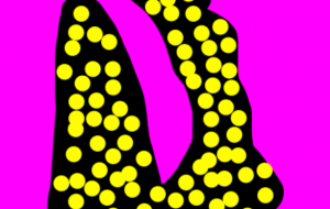 蛇使い - 笹谷正博