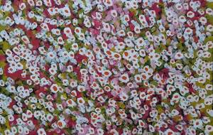 もっと探求 - ゆき