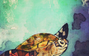 海ガメ - 【イベント】ザ・ルイガンズ.スパ & リゾート 2021年コンペティション応募作品