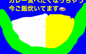 カレー食べたくなっちゃう - 笹谷正博