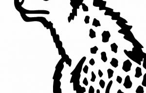 ブチハイエナ - シマハイエナ