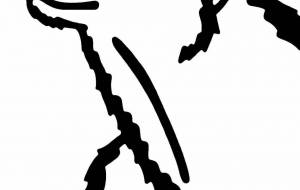 ホッキョクグマ - シマハイエナ