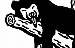 マレーグマ - シマハイエナ