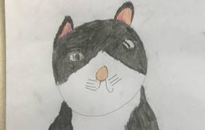 猫のろくすけくん - 琉ちゃん