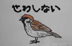 せわしない - まっつん