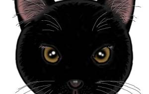 耳カット黒猫 - ikura 