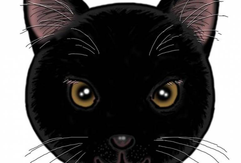 耳カット黒猫