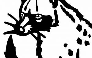 マレージャコウネコ - シマハイエナ