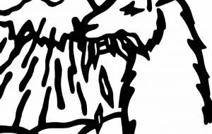 ラマ - シマハイエナ