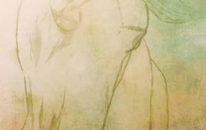 夢見心地の日 - 小林由樹