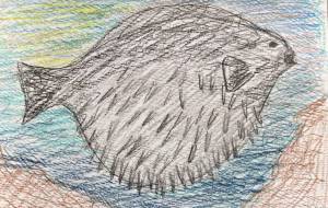 ふぐとら - makoto・fujimoto