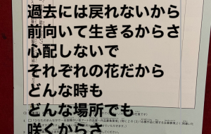 約束だから - 笹谷正博