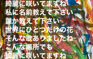 花の名前教えて下さい - 笹谷正博