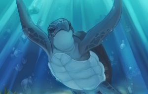 たゆたう - 【イベント】ザ・ルイガンズ.スパ & リゾート 2021年コンペティション応募作品