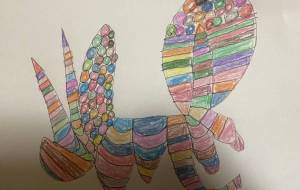 軌跡のバラロラ - 笹谷正博