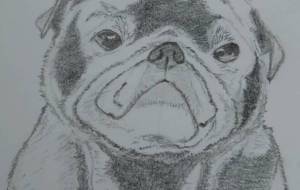 思い出のワンコ - ワッキー