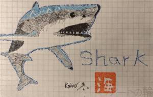 「Shark」 - Kaito 
